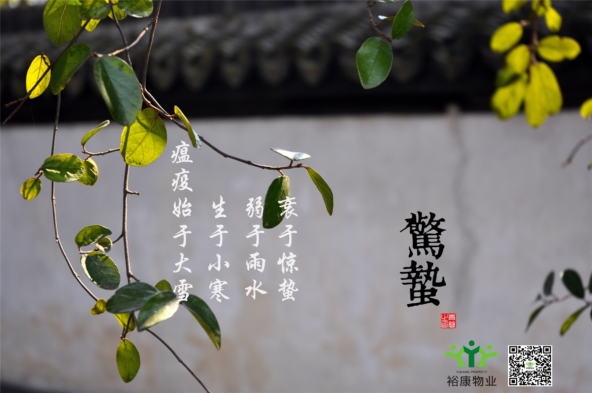 庚子春，二月十二，驚蟄日