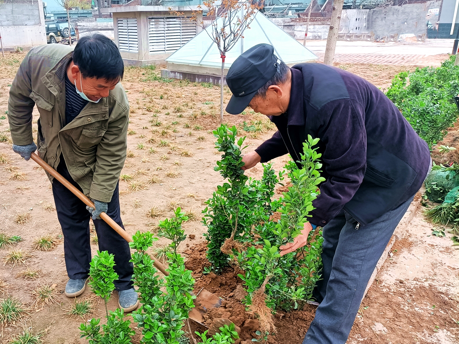 “綠色呼吁”——?？滴飿I(yè)植樹(shù)活動(dòng)